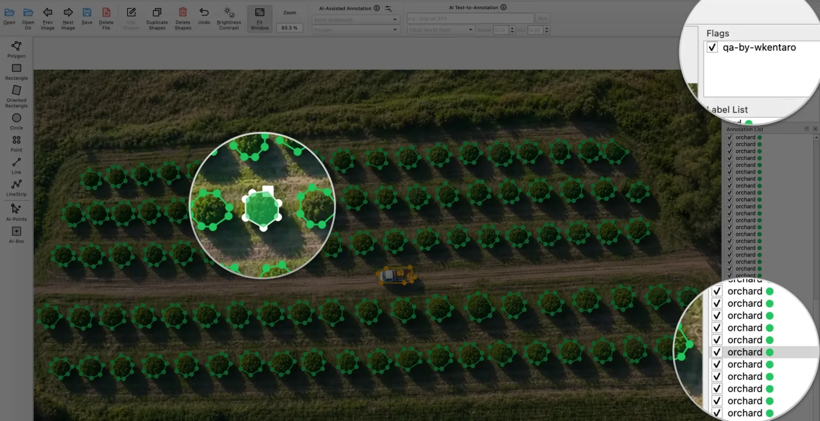 Reviewing the annotated orchard in Labelme, zoomed into one selected tree-crown polygon, with a QA flag panel and the full annotation checklist.